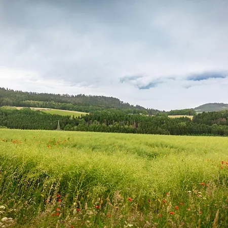 Nyaraló 
